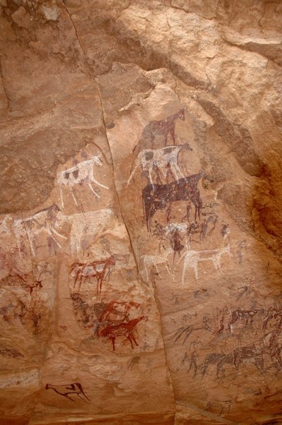 Kalliotaide, esihistoria: Kalliomaalaus karjaryhmästä ja hahmoista koristeellisessa suojissa Uweinatin vuoristossa, Sudanissa (Karkur-Talh tai Karkur Talh). Ajanjakso 8000-3000 vuotta eKr. Valokuvaus tekijältä Unbekannt