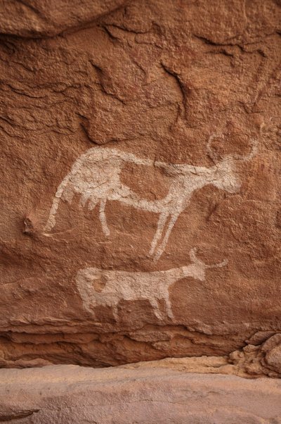 Kalliotaide, Esihistoria: Kalliomaalaus kahdesta suurisarvista lehmästä (pitkä sarvi) koristeellisessa suojissa Uweinatin massiivissa, Sudanissa (Karkur-Talh tai Karkur Talh). Ajanjakso 8000-3000 vuotta eKr. Valokuvaus tekijältä Unbekannt