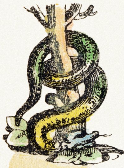 S - Serpent - Child Entertainment Alphabet n. 1890 (litografia) tekijältä Unbekannt