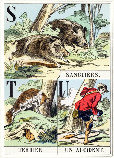 S T U : Sanglier, Terrieri, Un-onnettomuus - Metsästysaakkoset, n. 1890 (kaiverrus) tekijältä Unbekannt