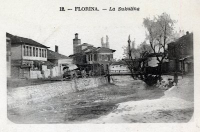 Serbia, Florina (nykypäivän Kreikka): näkymä Sukulinasta - Postikortti 1914-1918 tekijältä William M. Timlin