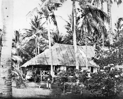 Singapore: Palmujen ympäröimä yksityinen bungalow. Singapore, 1875 tekijältä Unbekannt