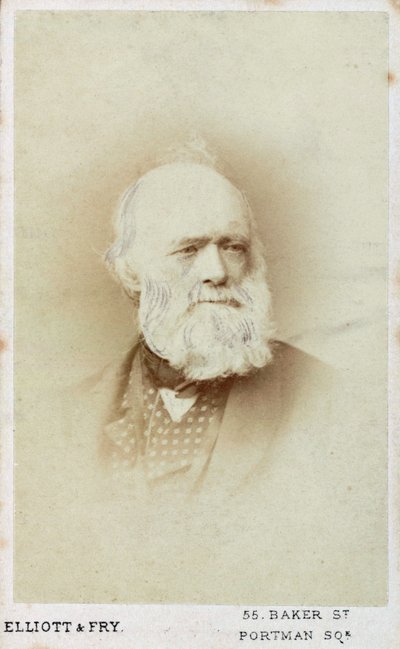 Sir Charles Lyell, englantilainen geologi, 1865-1875 tekijältä Unbekannt