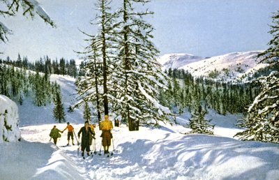 Hiihtovaellus Ranskan Rivieralla, n.1930 (Postikortti) (Postikortti) tekijältä Unbekannter Künstler