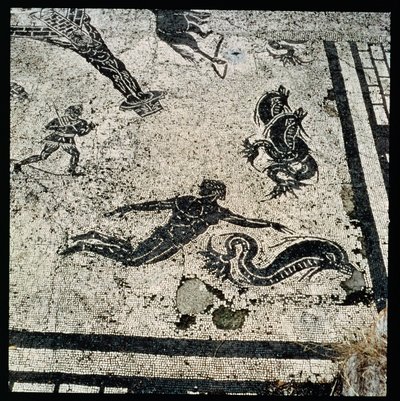 Uinti delfiinien kanssa, Frigidarium of the Baths Ostiassa, 2. vuosisadalla jKr (mosaiikki) tekijältä Unknown