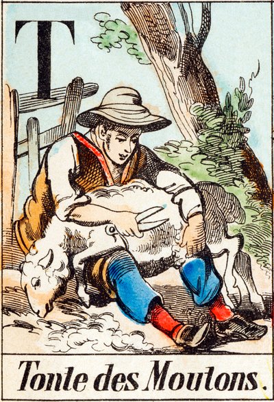 T Tonte des moutons - "Matalon aakkoset" 1800-luvun loppu (kaiverrus) tekijältä Unbekannt