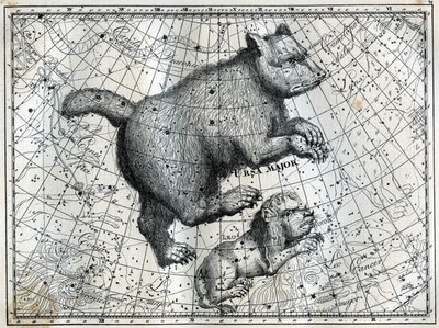 Boreaaliset tähtikuviot: Suuri karhu ja pieni leijona. Kaiverrus Camille Flammarionin teoksesta "The Stars and Other Curiosities of the Sky" tekijältä Unbekannt