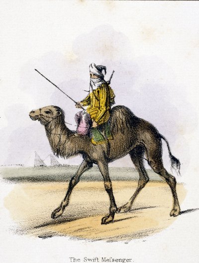 The Swift Messenger, n. 1845 tekijältä Unbekannter Künstler