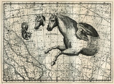 Pegasen tähdistö piirtää kuin hevosen etupuoli, jolla on siipipari, Pikkuhevonen, hevosen pää ja delfiini. Kaiverrus Camille Flammarionin teoksesta "Les étoiles et les autres curiosites du ciel" tekijältä Unbekannt