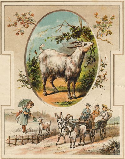 Vuohi. Kaiverrus "Mon premier Grand Alphabet". Bernardin-Bechet Edition, Pariisi, noin 1890. Kuvitukset: A. des Lilleuls. Ei sivua, 46 sivua. Mitat: 31 x 22 cm. tekijältä Unbekannt