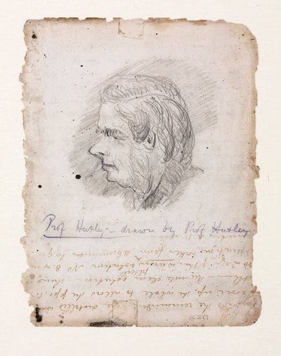 Thomas Henry Huxley, englantilainen biologi, 1800-luvun puoliväli tekijältä Unbekannt