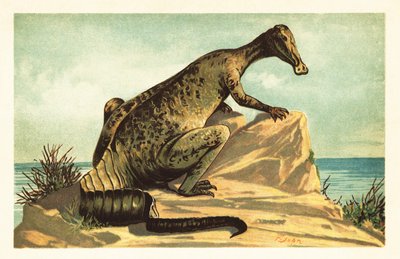 Trachodon mirabilis, sukupuuttoon kuollut hadrosaurad dinosaurus.1908 (litografia) tekijältä Unbekannter Künstler
