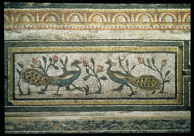 Kaksi riikinkukkoa, koristeellinen reunayksityiskohta mosaiikkipäällysteestä, joka kuvaa vuodenaikoja ja metsästyskohtauksia, Constantinian-huvilasta Daphnessa, Roomassa, n. 325-330 jKr (marmori, kalkkikivi ja lasimosaiikki) (yksityiskohta 105665) tekijältä Unbekannt