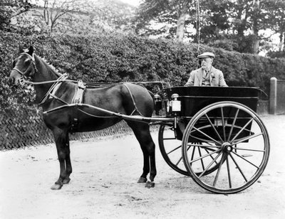 Iso-Britannia : Hevonen ja ansa. c1905 tekijältä Unbekannt