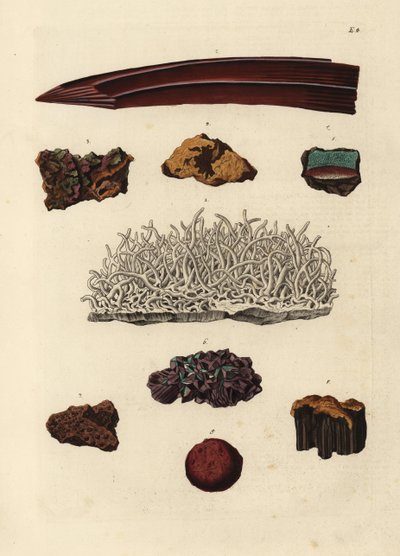 Rautamalmilajikkeet. Käsin väritetty kuparipiirros Georg Wolfgang Knorrin teoksen Deliciae Naturae Selectae of Kabinet van Zeldzaamheden der Natuur, Blusse and Son, Nürnberg, kuvituksen mukaan. tekijältä Unbekannter Künstler