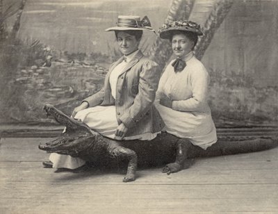 Naiset istuvat täytetyllä alligaattorilla, n. 1905 (b/w kuva) tekijältä Unbekannter Künstler