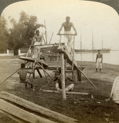 Filippiiniläinen saha, Cebu, Filippiinit. tekijältä Underwood and Underwood