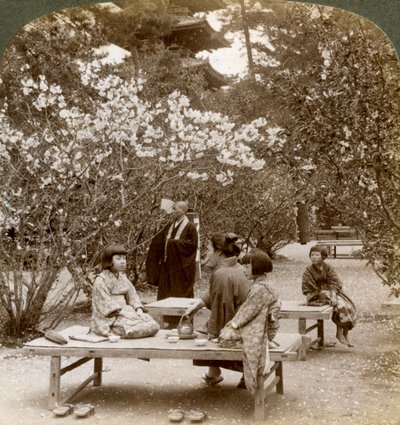 Perhe nauttimassa piknikistä kirsikankukkien alla, Omuro Gosho, Kioto, Japani, 1904. tekijältä Underwood and Underwood