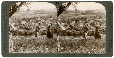 Betania, nähtynä Öljymäen itärinteeltä Palestiinassa, 1899. tekijältä Underwood and Underwood