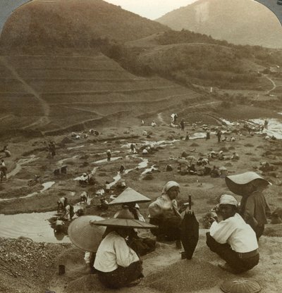 Joen uoman ruoppaus rubiineille, Mogok, Burma, 1900-luku. tekijältä Underwood and Underwood