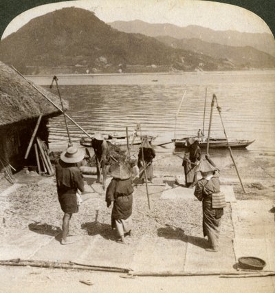 Huuhtelevaa ohraa kalastusrannan vieressä sisämerellä, Japanissa, 1904. tekijältä Underwood and Underwood