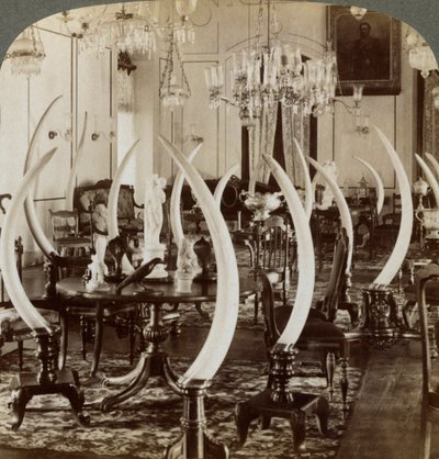 Hall of Tusks, Lady de Soysan kotona, Bambalapitiya, Colombo, Ceylon, 1903 tekijältä Underwood and Underwood