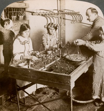 Silkin valmistus, Syyria, 1900-luku. tekijältä Underwood and Underwood