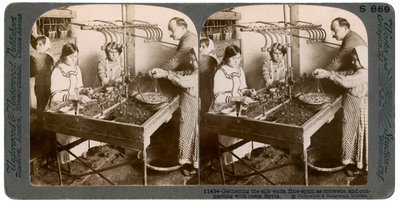 Silkin valmistus, Syyria, 1900-luku. tekijältä Underwood and Underwood