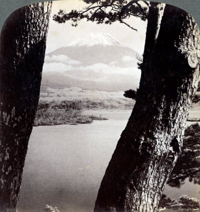 Fuji-vuori, katsottuna luoteesta, mäntyjen läpi Motosu-järvellä, Japanissa, 1904 tekijältä Underwood and Underwood