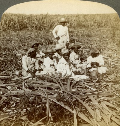 La Unionin sokeriviljelmällä, San Luisissa, Santiagon maakunnassa, Kuubassa, 1899. tekijältä Underwood and Underwood