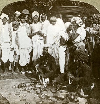 Käärmeen hurmaaja, Kalkutta, Intia, 1900-luku. tekijältä Underwood and Underwood