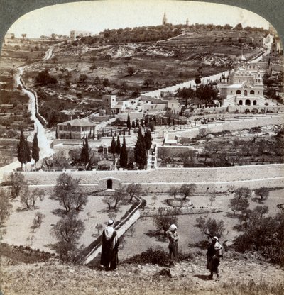 Getsemanen puutarha ja Öljymäki, Palestiina, 1908. tekijältä Underwood and Underwood