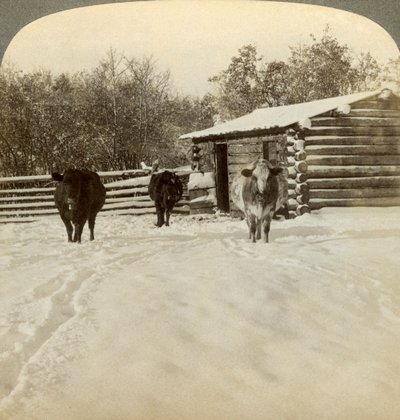 Talvi karjatilalla, Montana, USA. tekijältä Underwood and Underwood