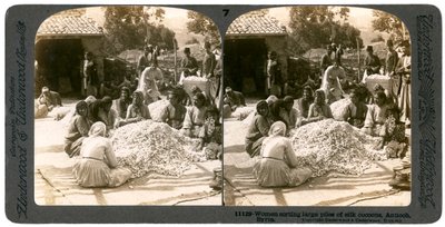 Naiset lajittelevat suuria kasoja silkkikoteloita, Antiokia, Syyria, 1900-luku. tekijältä Underwood and Underwood