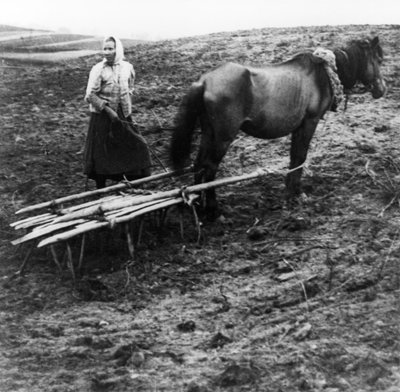 Talonpoikaisnainen ja hevonen muokkaamassa maata maatilalla Voronovon kylässä Volgan varrella vallankumousta edeltäneellä Venäjällä, 1900. tekijältä Unknown
