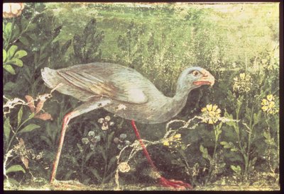Seinämaalaus sulttaanikanasta puutarhassa, Pompeji, 1. vuosisadalla jKr tekijältä Unknown