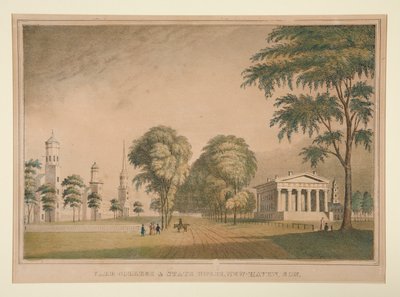 Yale College ja State House, New Haven, Con. tekijältä Unknown