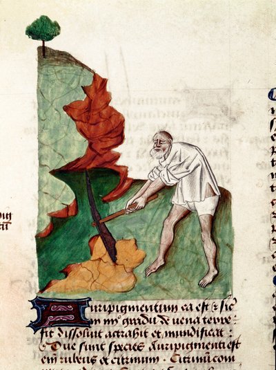 Kullanetsijä Pedanius Dioscorides (Dioscorides) (40-90 jKr.) Lat.1152 käsikirjoituksen "Yrttien herkkuja" (Tractatus de herbs) sivu. tekijältä Unknown artist