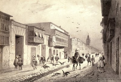 Katu Valladolidissa Limassa, Perussa. tekijältä Unknown artist