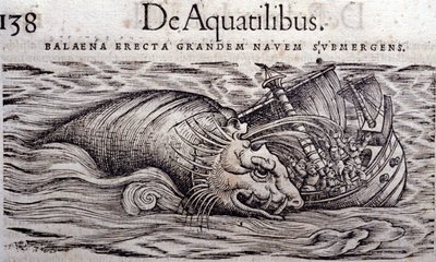 Valas tuhoaa veneen rungon ja aiheuttaa sen uppoamisen. Conrad Gesnerin (1516 - 1565), Tigurin kaiverrus Historia Animalium tekijältä Unknown artist