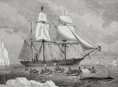 Valaanpyytäjä veneellä nopeasti "kalalle" (aseharppuunalla) tekijältä Unknown artist