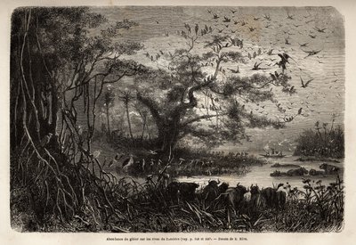 Runsaasti riistaa Sambesen rannoilla. Kaiverrus havainnollistamaan tohtori Livingstonen ensimmäisiä matkoja Etelä-Afrikkaan vuosina 1840–1856 Edouard Chartonin johdolla julkaistussa "Le tour du monde, nouveau journal des voyages" -julkaisussa tekijältä Unknown artist