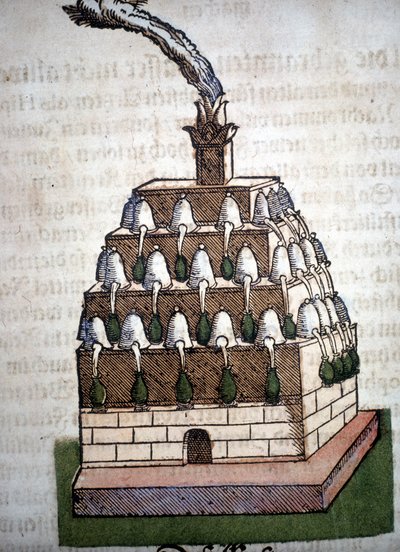 Alkemia: Athanor Four Pietro Andrea Mattiolin (Matthiole) (1500-1577) kirjasta. Frankfurt tekijältä Unknown artist