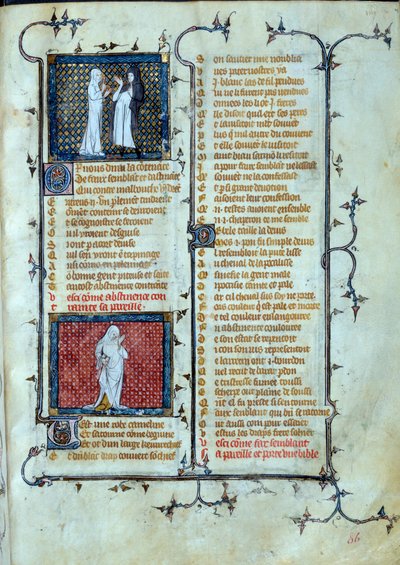 Allegorinen esitys rakkaudesta, joka esittää Malebouchen ansoja, abstinence-miniatyyrin hahmon alapuolella Jean de Meunin, Jean de Meungin tai Jean Chopinelin, Jean Clopinelin (v.1240-1305), noin 1370 -kirjassa "" Roman de la rose". Pariisi, Bibliotheque s tekijältä Unknown artist