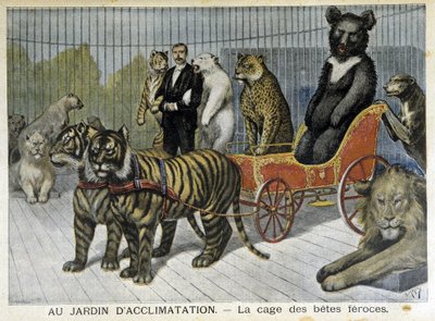 Totuttelun puutarhassa: julmien petojen häkki - "" Le Petite Journal" -lehdessä 6.2.1895 tekijältä Unknown artist