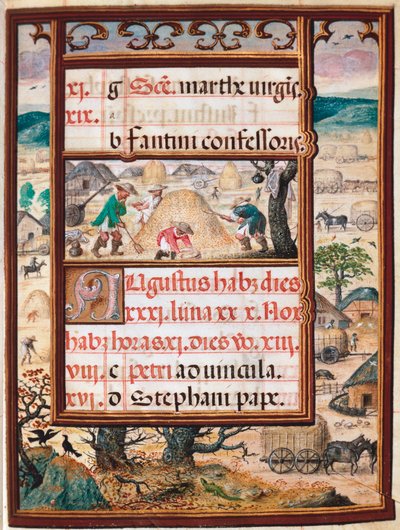 Elokuu. Talonpojat töissä. Sivu Portugalin Manuel I:n (1469-1521) käsikirjoituksesta "" Book of Hours" 1517. Lissabon, Museo di Arte Antica tekijältä Unknown artist