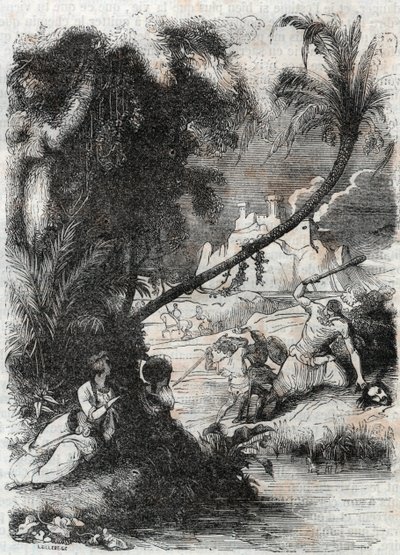 Griffonin ja Aquilantin taistelu Orrilea vastaan - kaiverrus vuodelta 1851 Ludovico Ariostosta "" Furious Roland"" (Orlando furioso) (1500-luku), joka tunnetaan nimellä Ariosta - Tressanin kreivin italiasta kääntämä painos ja kustantaja Gustave Harvard tekijältä Unknown artist