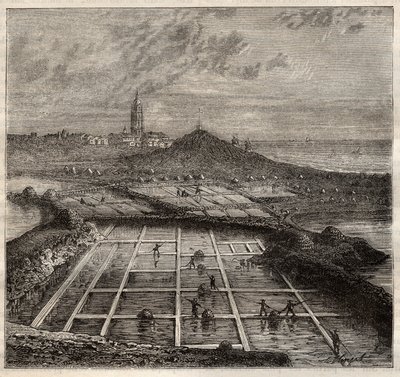 Batz sur Mer, Bretagne, Ranska - Suolan valmistus. Näkymä suoalueelta Länsi-Ranskassa - Louis Figuierin kaiverrus "Les Merveilles de l
