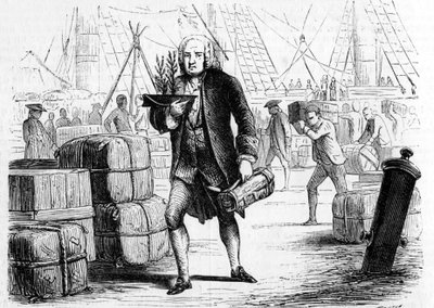 Bernard de JUSSIEU (1699-1777), ranskalainen kasvitieteilijä ja luonnontieteilijä, raportoi setripuusta Libanonista. Kaiverrus 1856 tekijältä Unknown artist