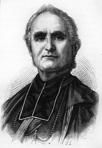 Piispa Félix Dupanloup (1802 - 1878), Ranskan prelaatti, Orléansin piispa tekijältä Unknown artist